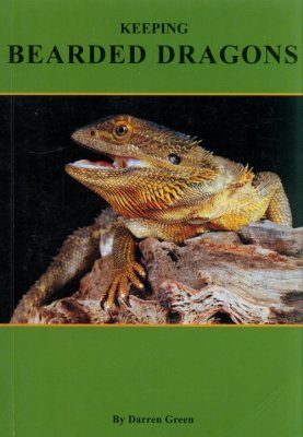 Keeping Bearded Dragons
