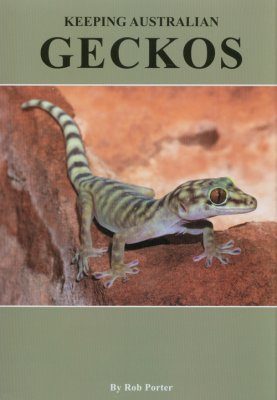 Keeping Australian Geckos
