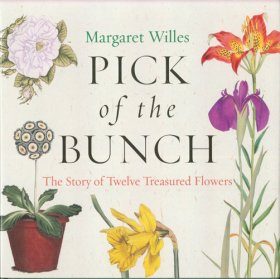 Pick of the Bunch