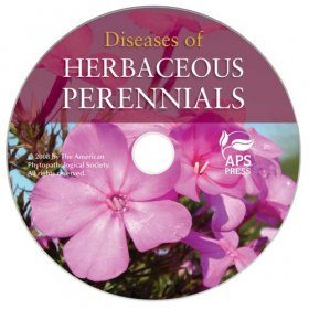 Diseases of Herbaceous Perennials
