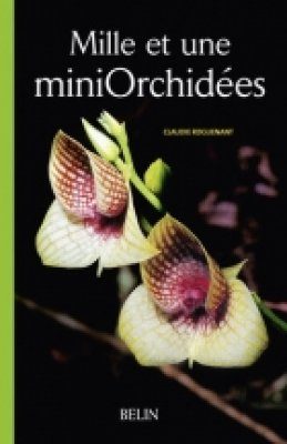 Mille et une Miniorchidées