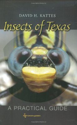 Insects of Texas