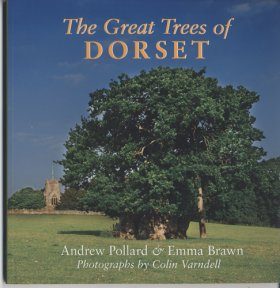 The Great Trees of Dorset
