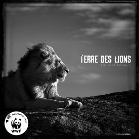 Terre des Lions