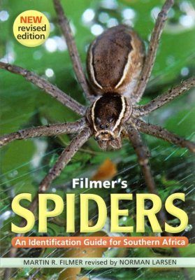 Filmer's Spiders