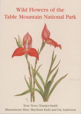 Wild Flowers of the Table Mountain National Park
