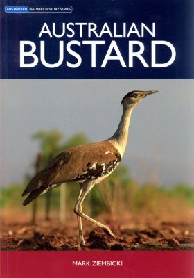 Australian Bustard