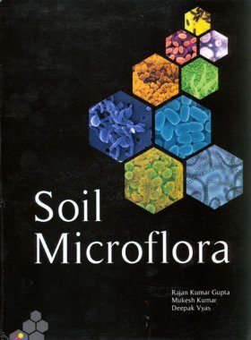 Soil Microflora