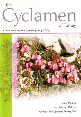The Cyclamen of Turkey