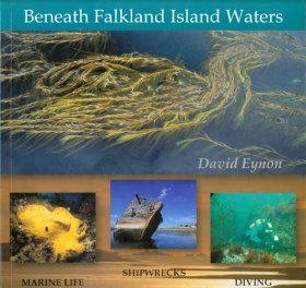 Beneath Falkland Island Waters