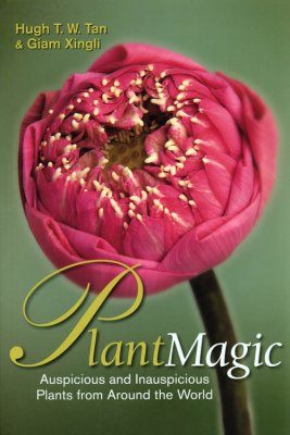 Plant Magic
