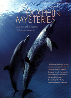 Dolphin Mysteries