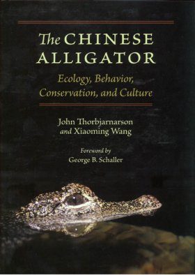 The Chinese Alligator
