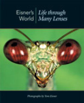 Eisner's World