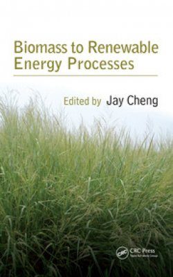 Biomass to Renewable Energy Processes