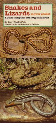 Snakes and Lizards in Your Pocket