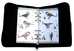 BirdVoice: British Birds Guide only