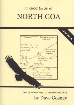 Finding Birds in North Goa
