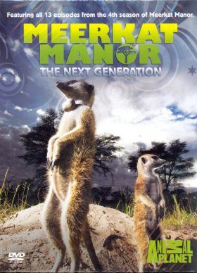 Meerkat Manor - DVD: Series 4 (Region 2)