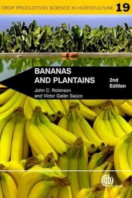 Bananas and Plantains