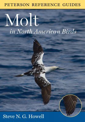 Molt in North American Birds