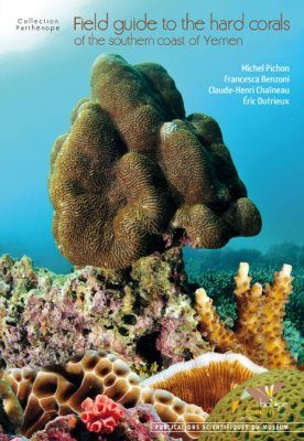 Field Guide to the Hard Corals of the Southern Coast of Yemen