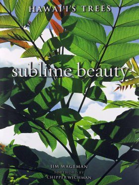 Sublime Beauty