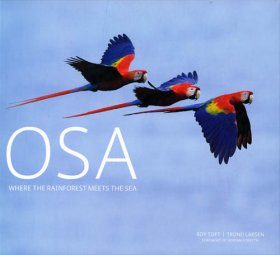 Osa: Where the Rainforest Meets the Sea