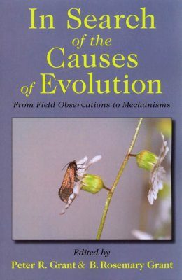 In Search of the Causes of Evolution
