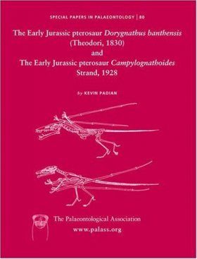 Early Jurassic Pterosaur Dorygnathus Banthensis (Theodori, 1830) and the Early Jurassic Pterosaur Campylognathoides Strand, 1928