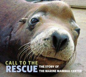 Call to the Rescue