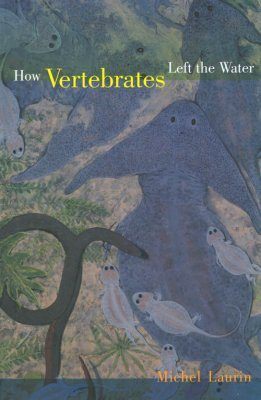 How Vertebrates Left the Water