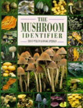 The Mushroom Identifier