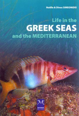 Life in the Greek Seas and the Mediterranean