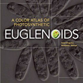 A Color Atlas of Photosynthetic Euglenoids