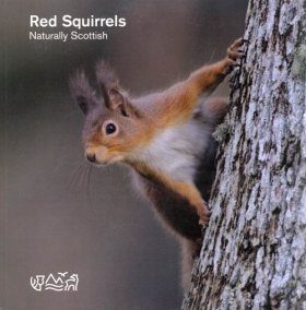 Red Squirrels