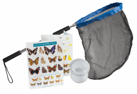 Starter Butterfly Kit