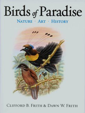 Birds of Paradise
