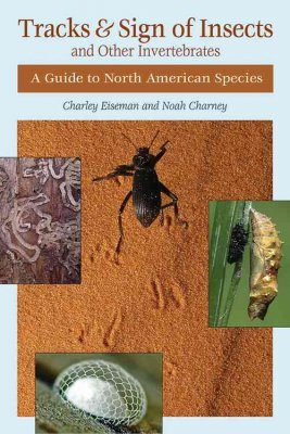 Tracks and Sign of Insects and Other Invertebrates
