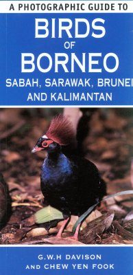 A Photographic Guide to Birds of Borneo