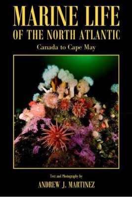 Marine Life of the North Atlantic