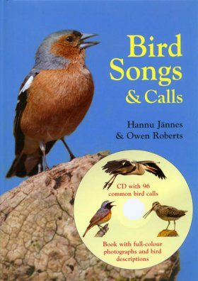 Bird Songs and Calls