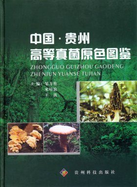 Coloured Illustration of Higher Fungi from Guizhou in China