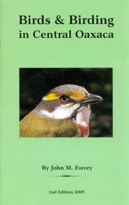 Birds and Birding in Central Oaxaca