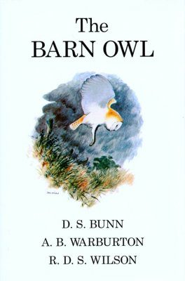 The Barn Owl