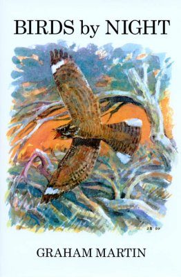 Birds By Night