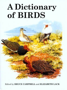 A Dictionary of Birds