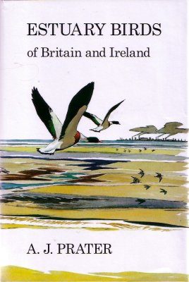 Estuary Birds of Britain and Ireland