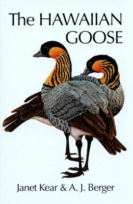Hawaiian Goose