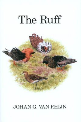 The Ruff